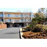 株式会社らいふ サービス付き高齢者向け住宅ホームステーションらいふ成城西の写真